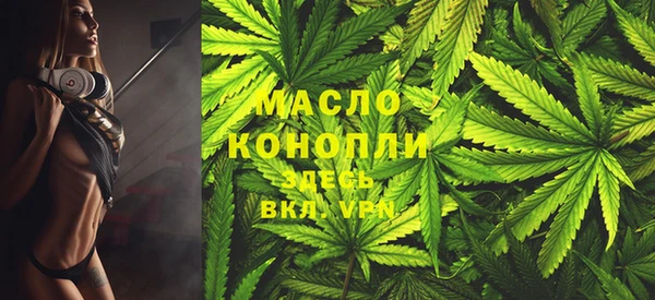 винт Гатчина
