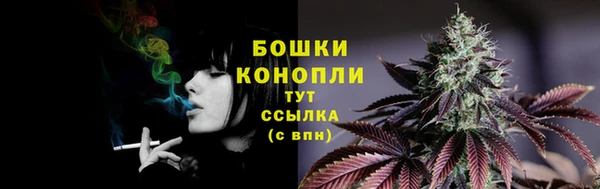 дживик Белоозёрский