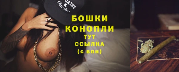 гидра Бугульма