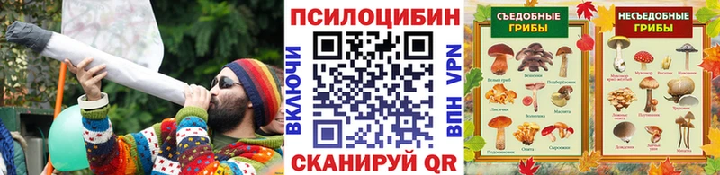 Псилоцибиновые грибы MAGIC MUSHROOMS Дигора