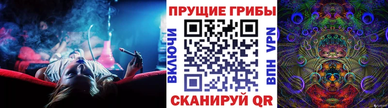дарнет шоп  ссылка на мегу вход  Псилоцибиновые грибы Psilocybine cubensis  Дигора 